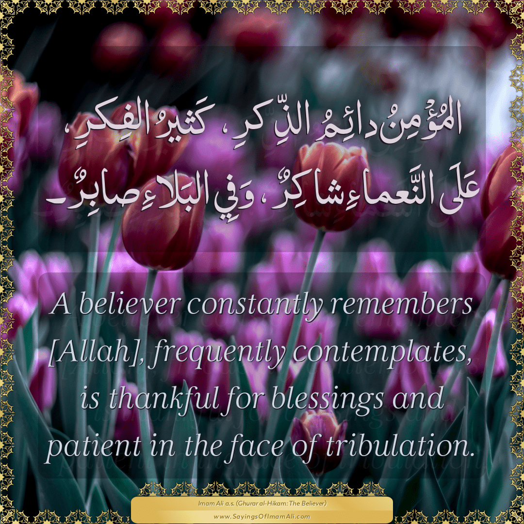 A believer constantly remembers [Allah], frequently contemplates, is...